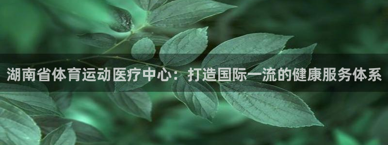 bsports必一运动：湖南省体育运动医疗中心：打造国际一流的健康服务体系