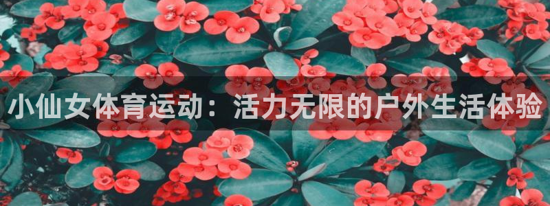 必一运动体育官网入口
