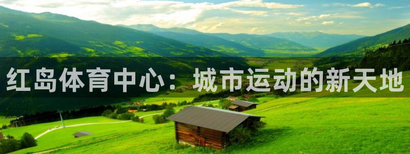必一运动体育官网入口