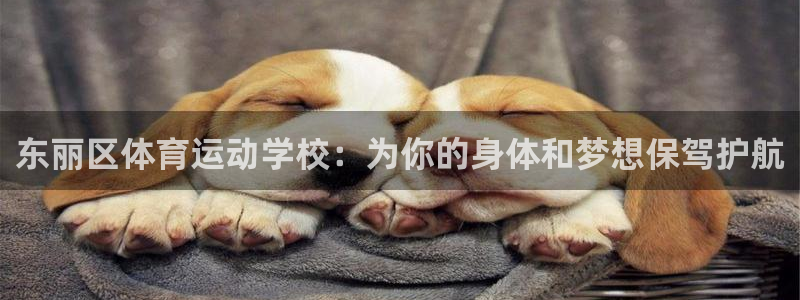 必一运动