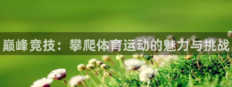 bsport必一运动