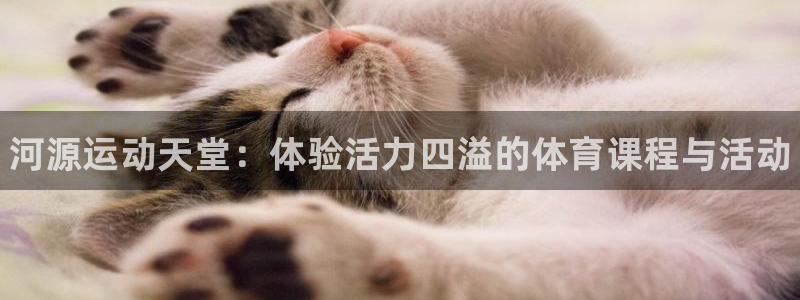 必一运动体育