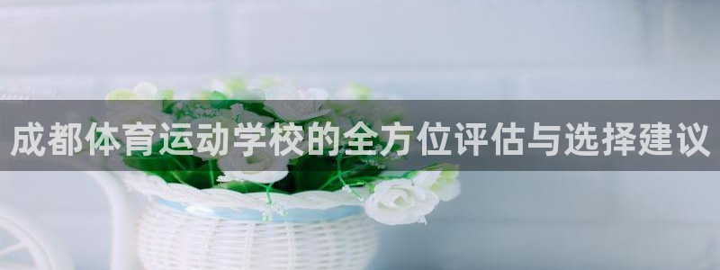 必一运动bsport体育