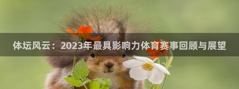 必一运动：体坛风云：2023年最具影响力体育赛事回顾与展望