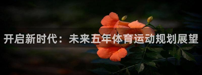 必一运动体育官网入口：开启新时代：未来五年体育运动规划展望