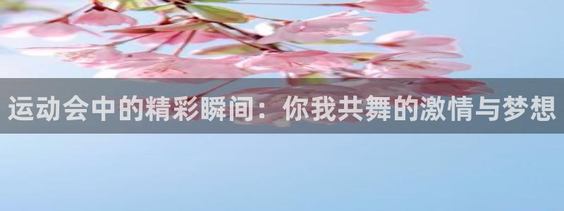 bsports官网 必一运动：运动会中的精彩瞬间：你我共舞的激情与梦想