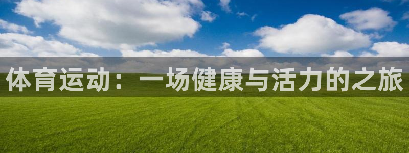 bsports必一运动：体育运动：一场健康与活力的之旅
