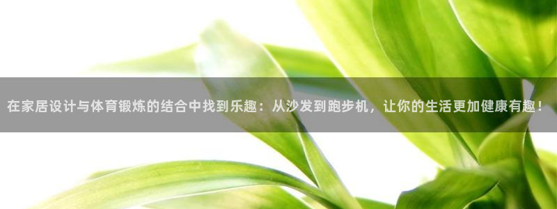 必一运动体育官网：在家居设计与体育锻炼的结合中找到乐趣：从沙发到跑步机，让你的生活更加健康有趣！