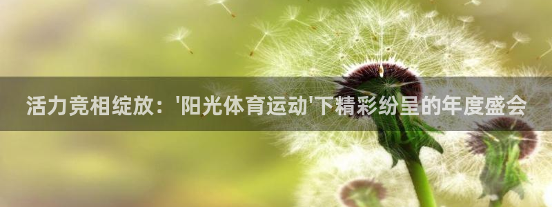 bsports官网 必一运动：活力竞相绽放：\'阳光体育运动\'下精彩纷呈的年度盛会