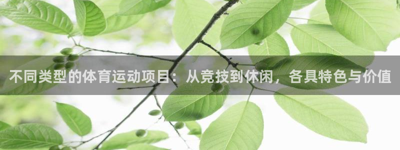 bsport必一运动：不同类型的体育运动项目：从竞技到休闲，各具特色与价值