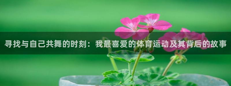 必一运动bsport体育：寻找与自己共舞的时刻：我最喜爱的体育运动及其背后的故事