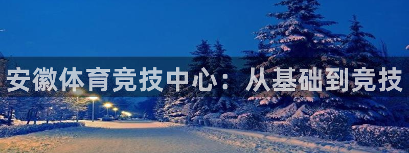 必一运动：安徽体育竞技中心：从基础到竞技
