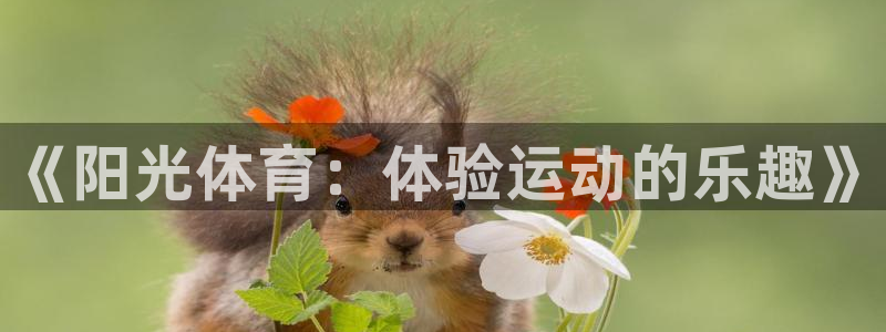 bsports必一运动：《阳光体育：体验运动的乐趣》