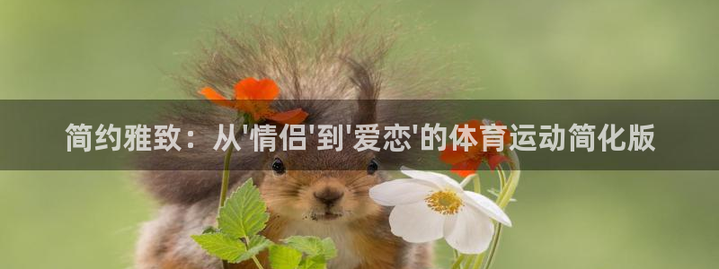 必一运动体育官网