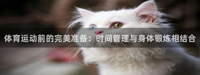 bsports官网 必一运动