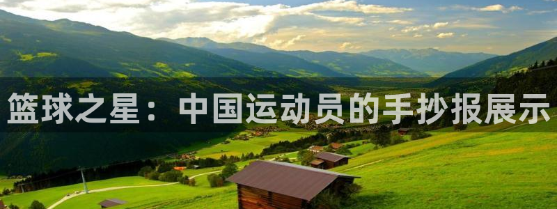b体育必一运动官网