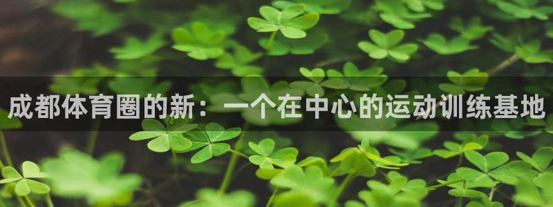 必一运动bsport体育