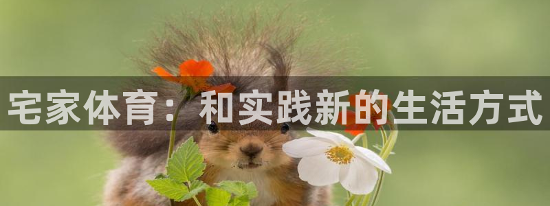 必一运动