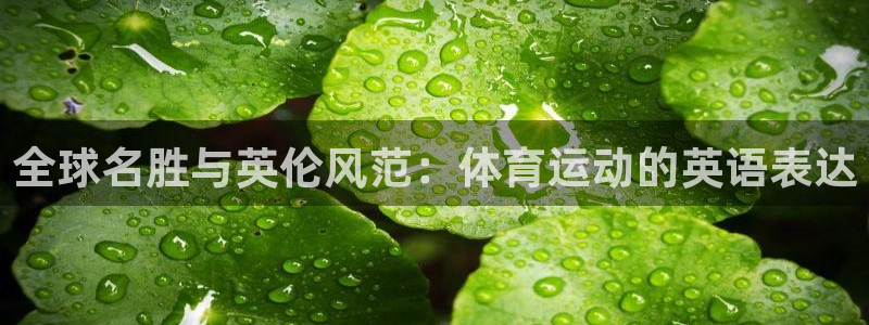必一运动