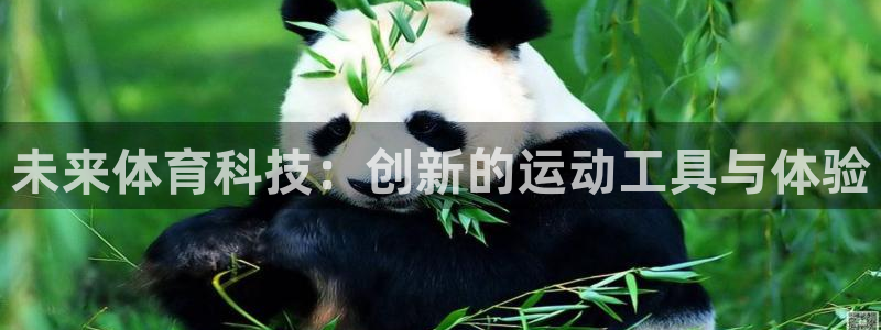 b体育必一运动官网