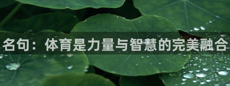 bsport必一运动：名句：体育是力量与智慧的完美融合