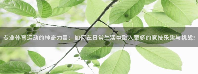 必一运动bsport体育：专业体育运动的神奇力量：如何在日常生活中融入更多的竞技乐趣与挑战!