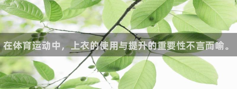 必一运动体育官网：在体育运动中，上衣的使用与提升的重要性不言而喻。